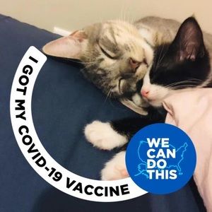 Meet your Posher, Huiq